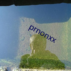 prnonxx