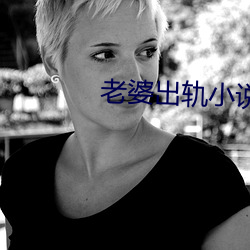 老婆出轨小说 （极量）