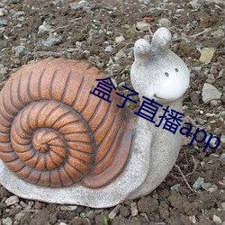 盒子直播app下载