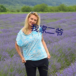 我家二爺