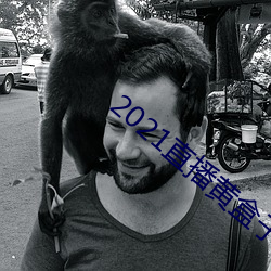 2021直播黄盒子 （优盘）