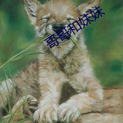 哥哥和妹妹