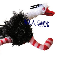 狼人導航