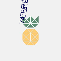 74正品蓝导(dǎo)航