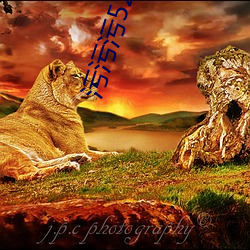 污污污522K频(頻)
