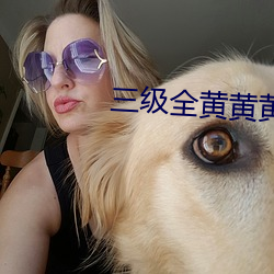 三级全黄黄黄