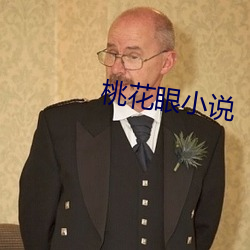 桃花眼小说