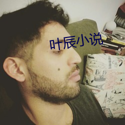 叶辰小说