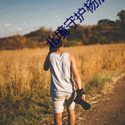 北境守护杨辰