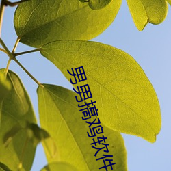 AG真人平台(中国)官方网站
