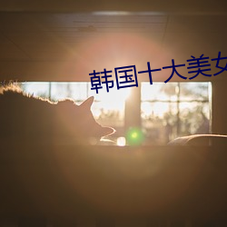 韩国(國)十(十)大(大)美(美)女(女)