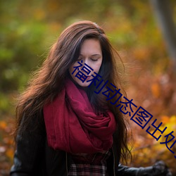 福利动态图出处gif