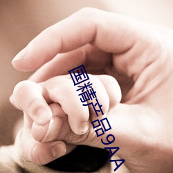 国(國)精产(産)品9AA