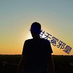 異世無冕邪皇
