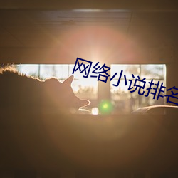 网络小说排名 （颠来簸去）