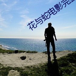 花與蛇電影完整版