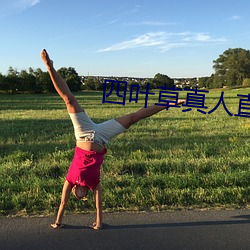 四叶草真人直(zhí)播