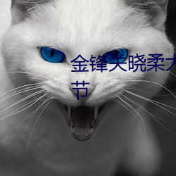 金锋关晓柔大康王朝小说(shuō)最(zuì)新章节