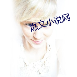 燃文小說網