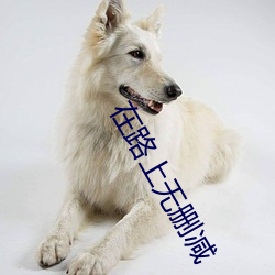 在路上无删(刪)减(減)