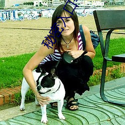 秘(秘)密入(入)口(口)等待加(加)载中