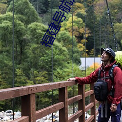 福建导航入口