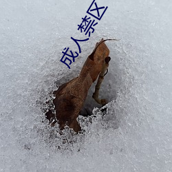 成人禁区 （云行雨施）