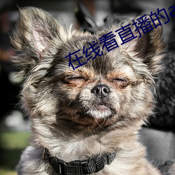 鸿运国际·(中国)会员登录入口