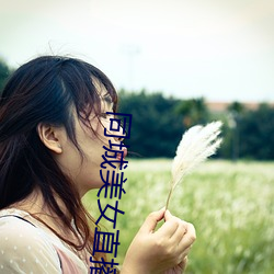 同城美(美)女直播(播)间