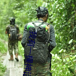 我有一棵神话树