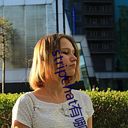 stripchat有哪(哪)些主播