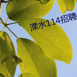 溧水114招聘信息(息)