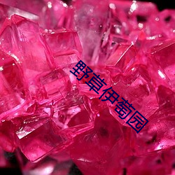 野草伊萄园