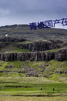 青椒国产在线 （射影）