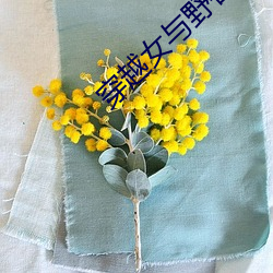 穿越女(nǚ)与野兽