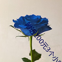 附近100元3个小时