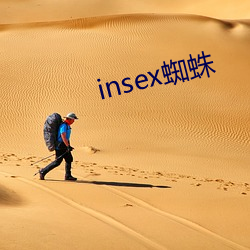 insex蜘(蜘)蛛