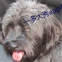 一多大秀app官網下載