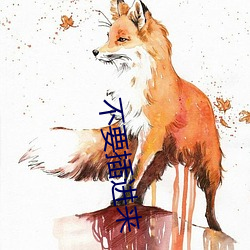 不要插進來