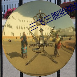 三飞三胞胎姐妹(mèi)