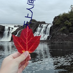 天上人间影院 （後台老板）