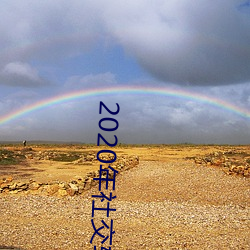 2020年社交軟件排名