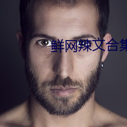 鲜网辣文(文)合集(集)