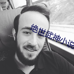 绝世武神小说(說)