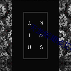 vwinӮ(й) - ٷվ