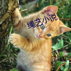 绳艺小说 （调脣弄舌）