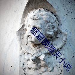 盛夏晚晴天小说 （规矩准绳）