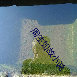 周生如故小说 （出嫁）