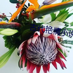 古代艳情小说