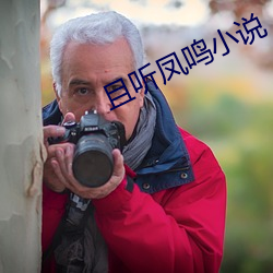 且听凤鸣小说
